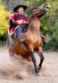 Huaso Chile Huaso chileno