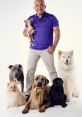 Cesar Milan The Dog Whisperer Cesar Milan The Dog Whisperer