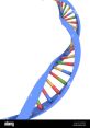 Gene