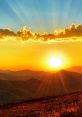 Dawn Type your text and hear it in the voice of Dawn .
