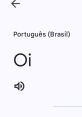 Google Tradutor Portuguese 2025. It's nice