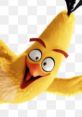 Chuck Angry birds Angry birds