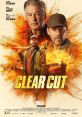 James Carter - Clear-Cut Professional - Voicemaker Professional Free Clear, crisp, and authoritative American tone,