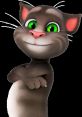 Talking Tom (Talking Tom Friends 2) Tom