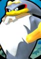 Storm The Albatross
