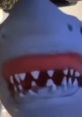 Sharkey Boi (2025 - Present) Sharkey Boi (2025 - Present) Voice and
