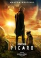 Picard stream