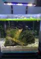 3Gal A sweet gal.