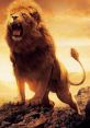 Roar