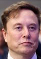 Elon Musk (News) Elon Reeve Musk (/ˈiːlɒn/ EE-lon; born June 28, 1971) is a businessman and entrepreneur known for his