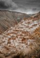 Maras