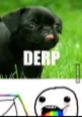 Derp (Fixed) Tapps Games