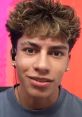 Ferran Lepine King ferran form royalty family
