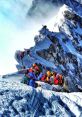 Everest Paw Patrol