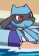 Riolu (Pokémon Anime) Cristina Vee The Pre-Evolution of Lucario