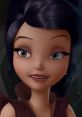 Vidia (Pamela Adlon, Tinker Bell) Vidia is one of the main characters of the Disney Fairies franchise, making her animated