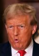 Donald Trump expressing anger, with a stern facial expression and emphasis on his signature hairstyle in a formal setting.