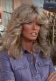 Farah Fawcett Charlie's Angel and iconic 70s blonde.