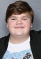 Jeremy Ray Taylor Jeremy Raymond Taylor (born June 2, 2003) is an American actor. He is known for his role as Ben Hanscom in