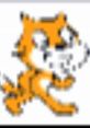 Meow The Cat Scratch