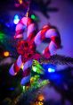 Holiday Christmas