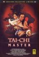 Tai Chi Master A master