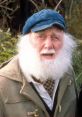 Uncle Albert Del boy
