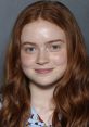 Sadie Sink Sadie Elizabeth Sink (born April 16, 2002) is an American actress. She began her acting career in theater,