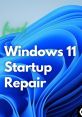 Windows 11 Startup