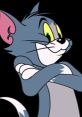 Tom Pryor Cat From Tom and Jerry