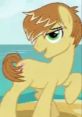 Feather Bangs (Mlp) (Vincent Tong) Type your text and hear it in the voice of Feather Bangs.
