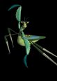 Maestro Mantis from Kung Fu Panda, depicted with vibrant green colors and a fierce expression, ready for action.
