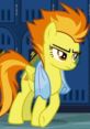 Spitfire (Mlp) (Kelly Metzger)