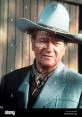 Big Johnwayne2 Movies