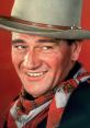 Johnwayne3 Movies