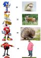 Real Zonichunter