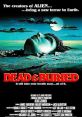Dead & Buried (1981) After a series of gory murders commited by mobs of townspeople against visiting tourists, the corpses