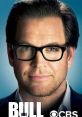 Bull (2016) Brilliant, brash, and charming, Dr. Bull is the ultimate puppet master as he combines psychology, human