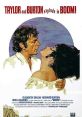 Boom! (1968) Explores the confrontation between the woman who has everything, including emptiness, and a penniless poet who