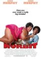 Norbit (2007) A mild-mannered guy, who is married to a monstrous woman, meets the woman of his dreams, and schemes to find