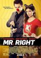 Mr. Right (2016) A girl falls for the "perfect" guy, who happens to have a very fatal flaw: he's a hitman on the run from the