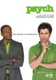 Psych (2006) When a novice sleuth convinces the police he has psychic powers, he and his reluctant best friend are hired on