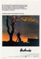 Badlands (1973) An impressionable teenage girl from a dead-end town and her older greaser boyfriend embark on a killing spree