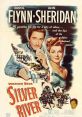 Silver River (1948) After Mike McComb is booted out of the cavalry, he becomes riverboat gambler and silver mine owner in