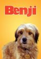 Benji (2018) Two school kids strike up a friendship with an orphaned puppy named Benji. When danger befalls them and they end