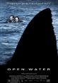 Open Water (2003) Based on the true story of two scuba divers accidentally stranded in shark infested waters after their tour