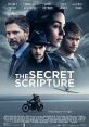 The Secret Scripture (2016) A woman keeps a diary of her extended stay at a mental hospital. Cast: Father Gaunt: Theo James