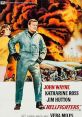 Hellfighters (1968) Divorced Chance Buckman fights international oil rig fires. An injury brings his daughter and to his