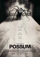 Possum (2018) After returning to his childhood home, a disgraced children's puppeteer is forced to confront his wicked