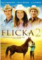 Flicka 2 (2010) A big-city teenage girl is forced to live on a ranch in Wyoming and bonds with a wild horse. Cast: Hank
